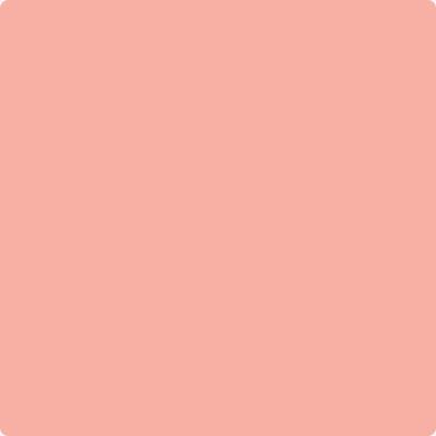 3-Pink: Paradise a paint color by Benjamin Moore avaiable at Clement's Paint in Austin, TX.