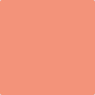 19-Salmon: Run a paint color by Benjamin Moore avaiable at Clement's Paint in Austin, TX.