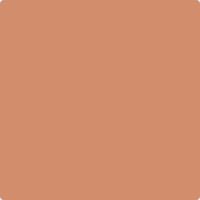 55-Pumpkin: Patch a paint color by Benjamin Moore avaiable at Clement's Paint in Austin, TX.