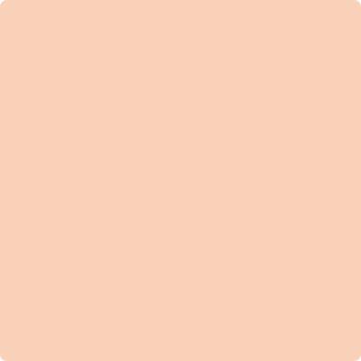 66-Forever: Young a paint color by Benjamin Moore avaiable at Clement's Paint in Austin, TX.