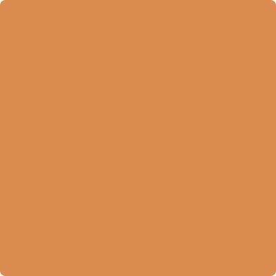 126-Pumpkin: Spice a paint color by Benjamin Moore avaiable at Clement's Paint in Austin, TX.