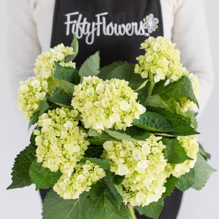 Baby Hydrangea Honeydew Green Flower Apron - Image