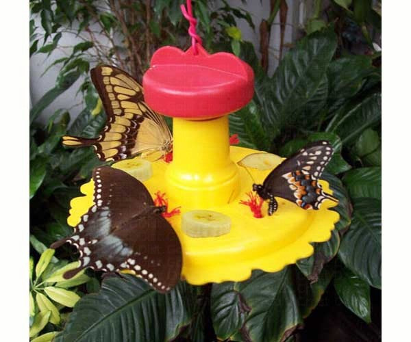 BUTTERFLY FEEDER