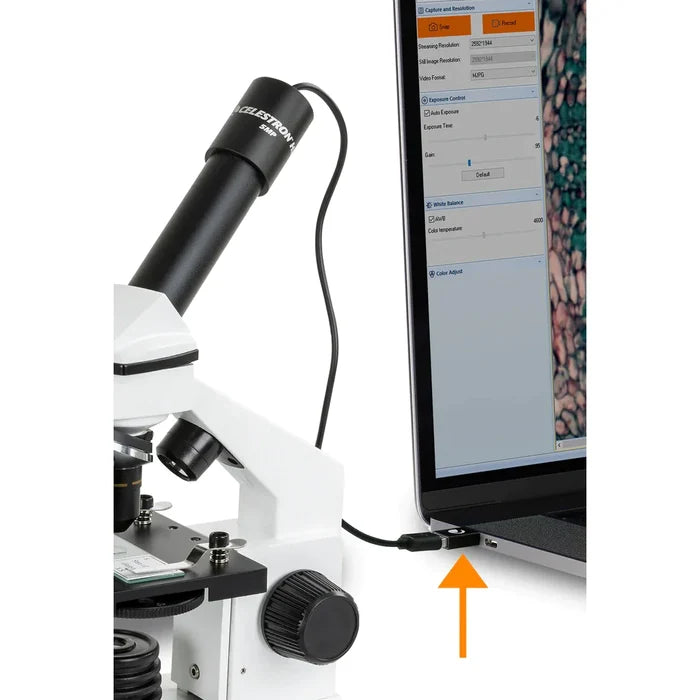Celestron USB-C to USB-A converter 2-Pack (44426) - Astronomy Plus