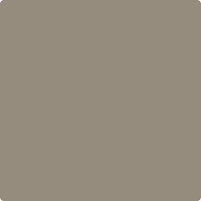 CSP-205: Cathedral Gray a paint color by Benjamin Moore avaiable at Clement's Paint in Austin, TX.