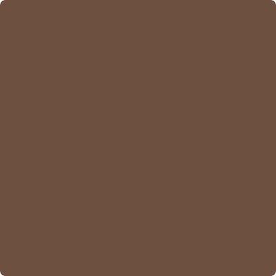 CSP-300: Riding Boots a paint color by Benjamin Moore avaiable at Clement's Paint in Austin, TX.