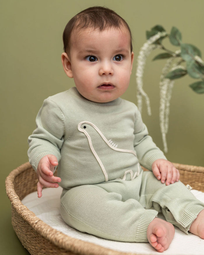 Dino Embroidered Baby Knit Jumpsuit (Organic Cotton) Model Sitting