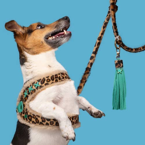 Dog With A Mission - Leopard Print Dog Harness with Fleece lining. Easy step in design - Dog.Dog.Cat.