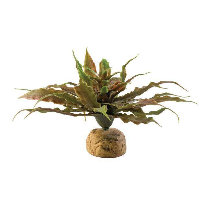 Exo Terra Star Cactus Terrarium:Jungle Bob's Reptile World