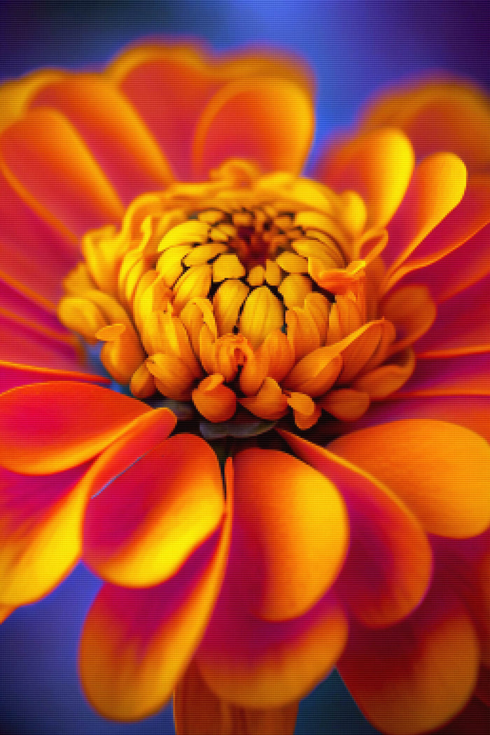 Orange Marigold