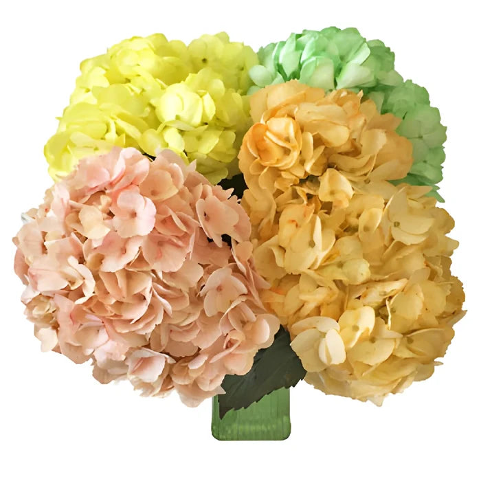 Spring Mix Hydrangea Wholesale Flower In a vase
