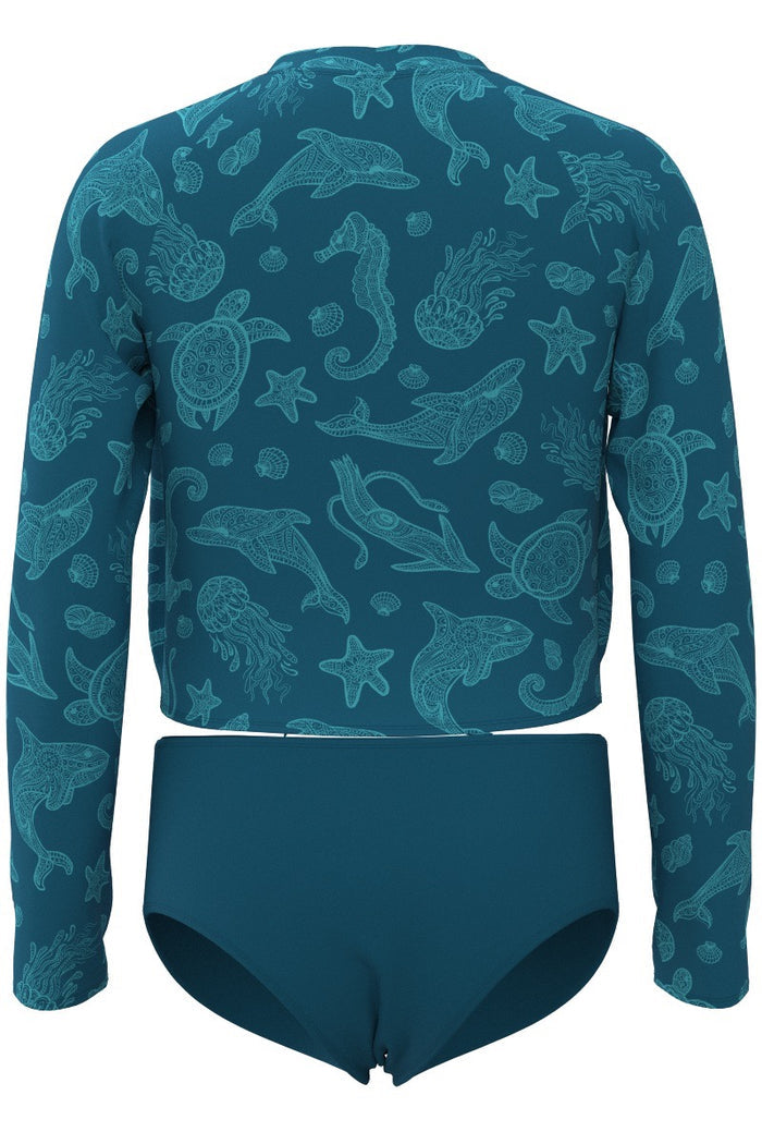 Color_Bluejay Ocean Animals