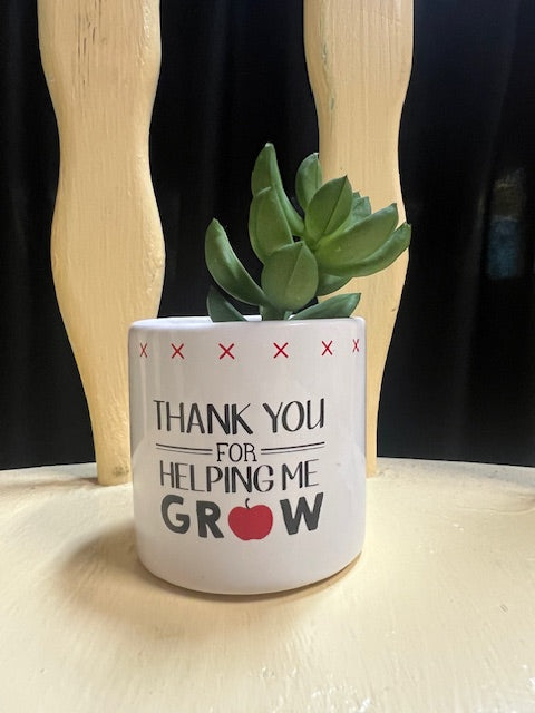 Teacher Succulent