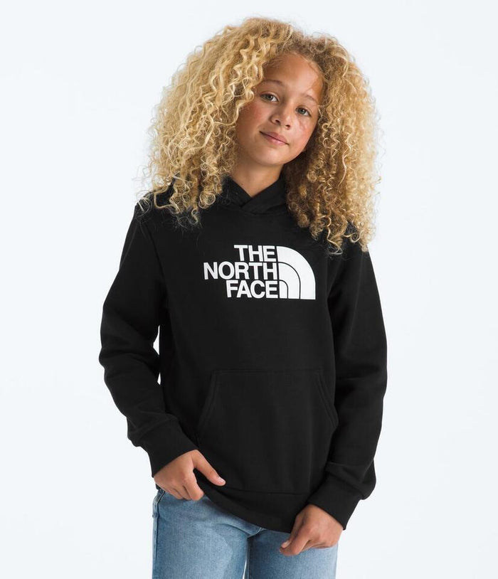 Teen Evolution Half Dome Pullover Hoodie