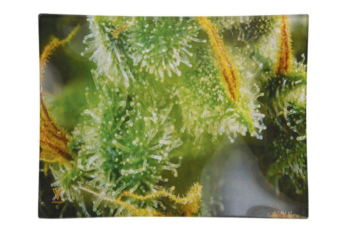 Tricomb Jungle Glass Rolling Tray - 2 Sizes