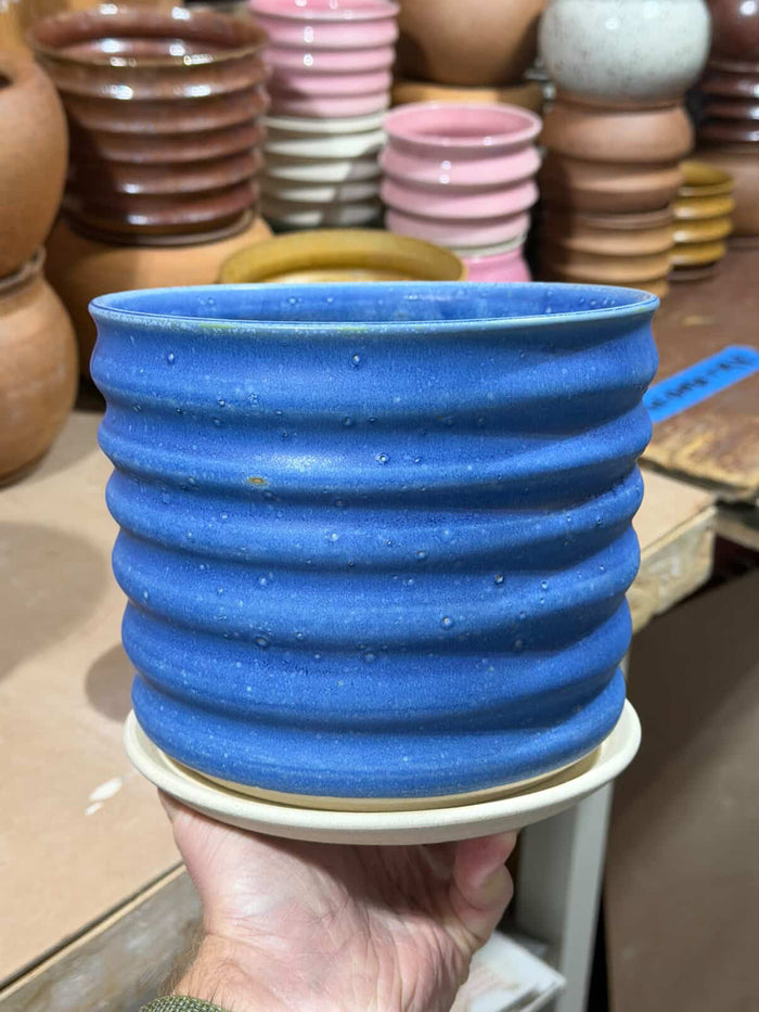 Wiggle Planter