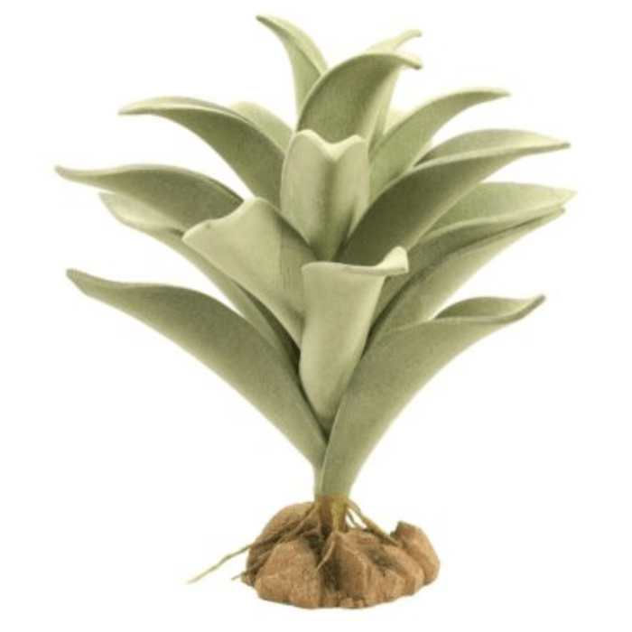 Zoo Med Desert Flora Silver Mullein:Jungle Bob's Reptile World