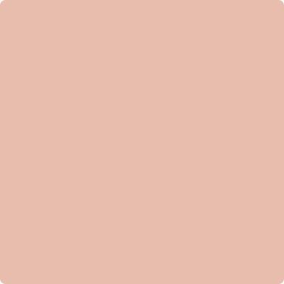 52-Conch: Shell  a paint color by Benjamin Moore avaiable at Clement's Paint in Austin, TX.