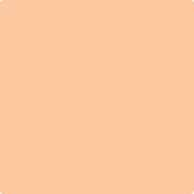 137-Peach: Pudding  a paint color by Benjamin Moore avaiable at Clement's Paint in Austin, TX.