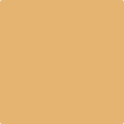 188-Eye: Of The Tiger  a paint color by Benjamin Moore avaiable at Clement's Paint in Austin, TX.