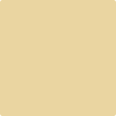207-Vellum:  a paint color by Benjamin Moore avaiable at Clement's Paint in Austin, TX.