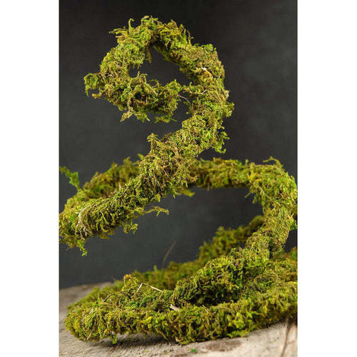 3' Flexible Mossy Vine Jungle Bob:Jungle Bob's Reptile World