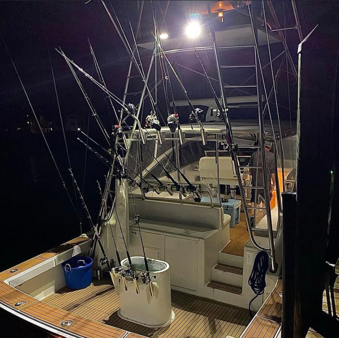 4 Inch Marine LED Spreader Light - Pro Series 3.0 | Scene (40W)
