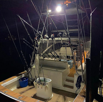 4 Inch Marine LED Spreader Light - Pro Series 3.0 | Scene (40W)
