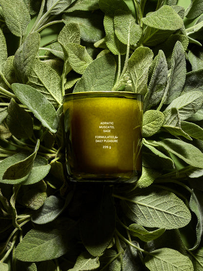 Adriatic Muscatel Sage Candle