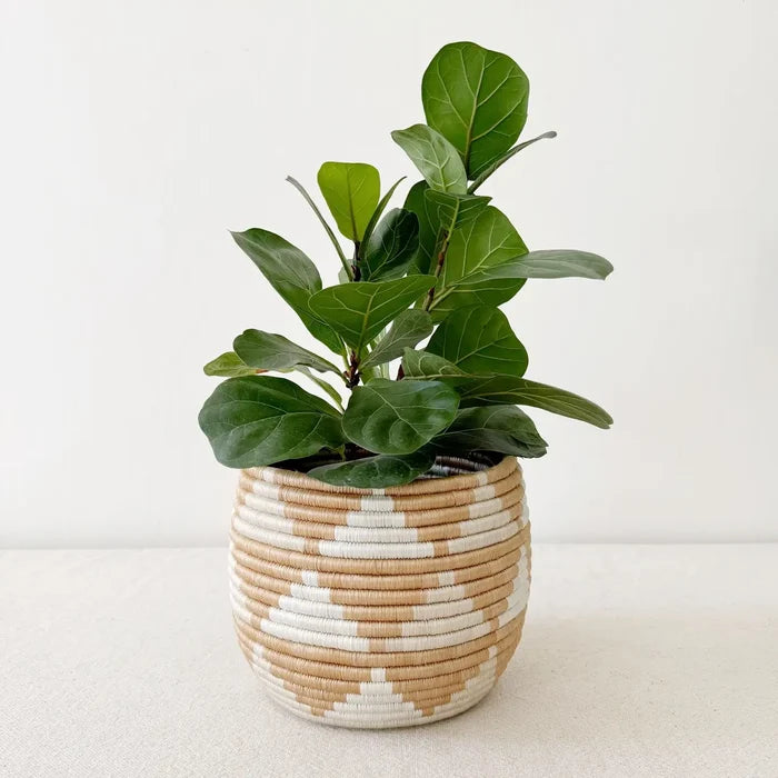 Akazi Honey Pot Basket