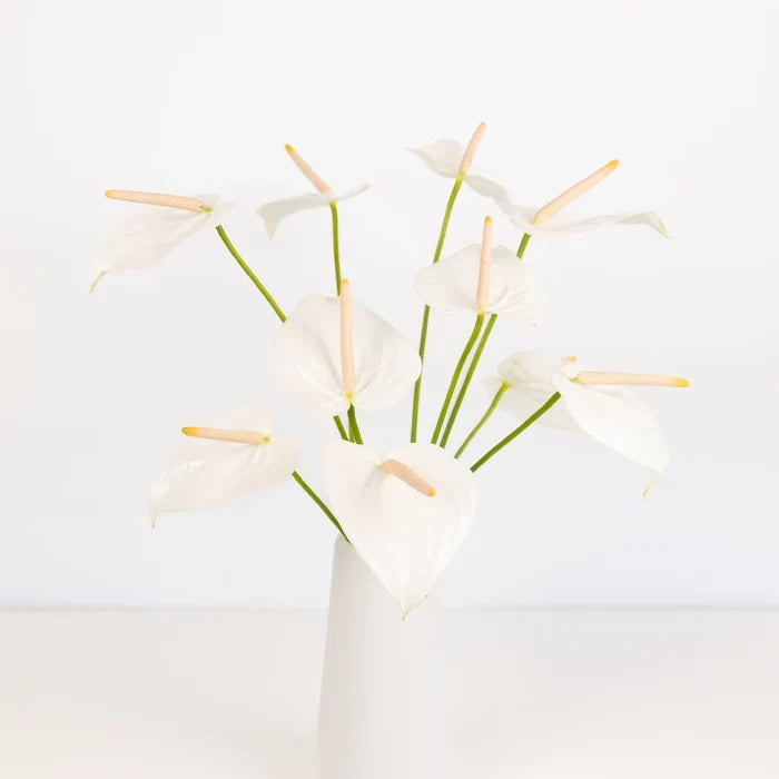 Polished Pearl Designer Anthurium Flower Vase - Image