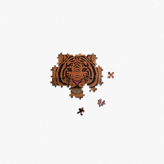 Awaz Dedo Puzzle