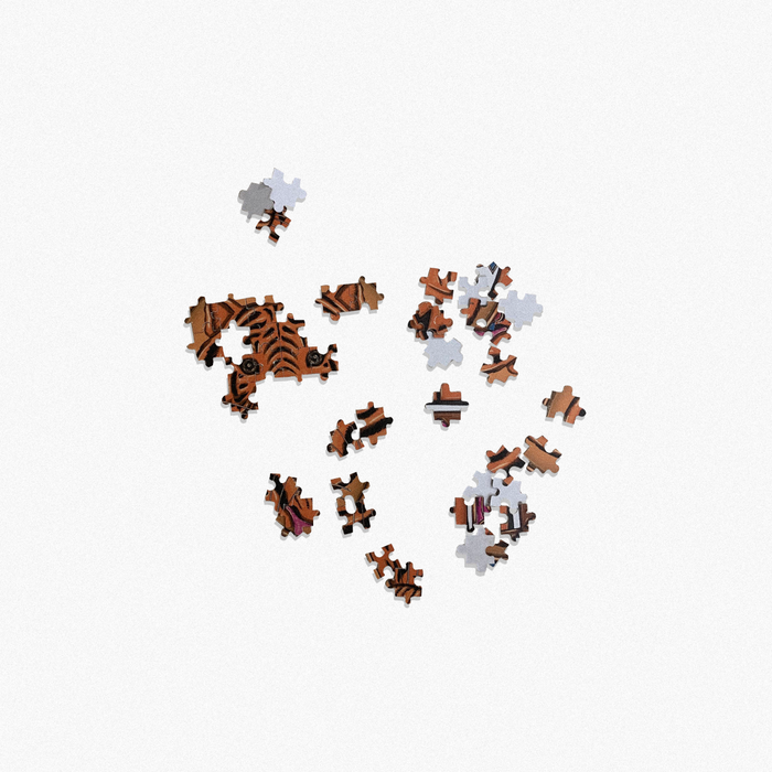 Awaz Dedo Puzzle