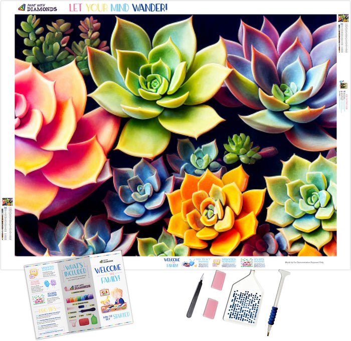 Beautiful Colorful Succulents