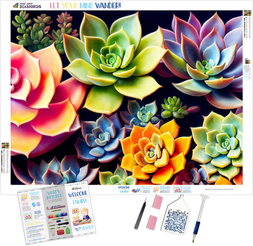 Beautiful Colorful Succulents