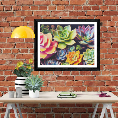 Beautiful Colorful Succulents