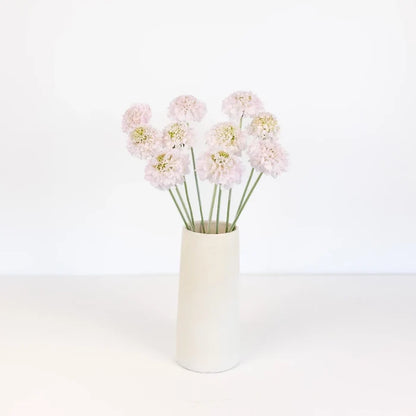 Blush Scabiosa Flower Vase - Image