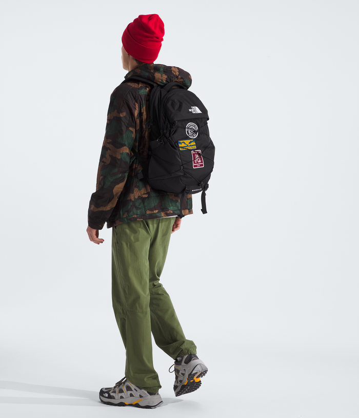Borealis Daypack