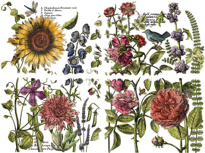 Botanists Journal IOD Transfer 12×16