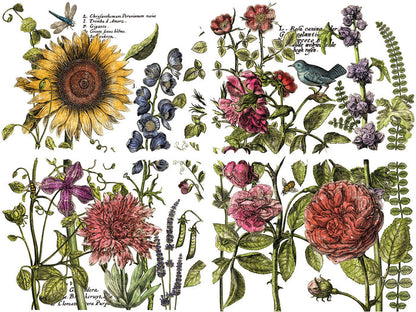Botanists Journal IOD Transfer 12×16