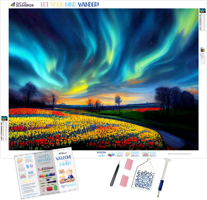 Breathtaking Spring Landscape Northern Lights