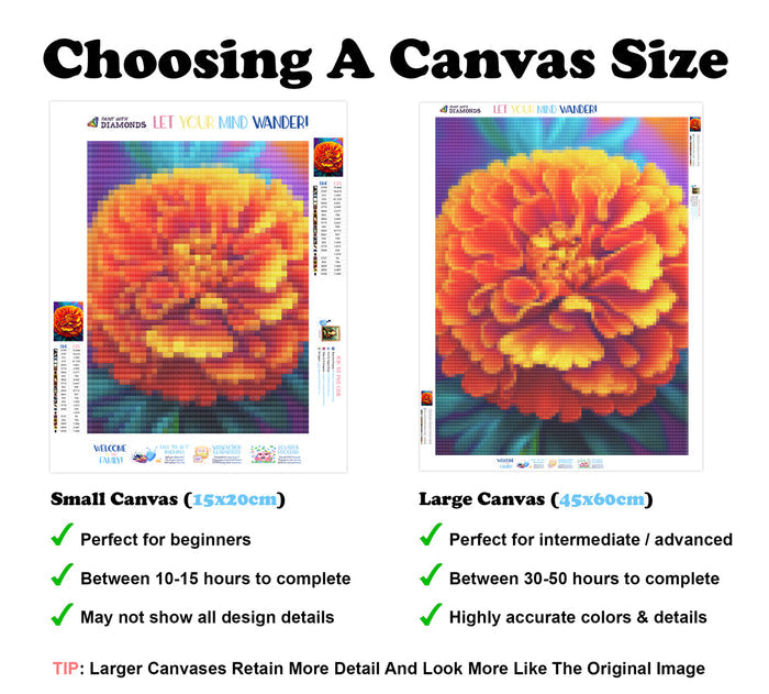 Bright Orange Marigold