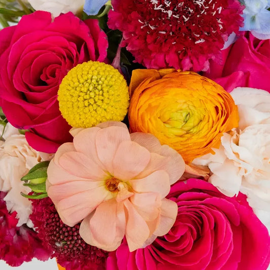 Bright Summer Diy Flower Kit Close Up - Image