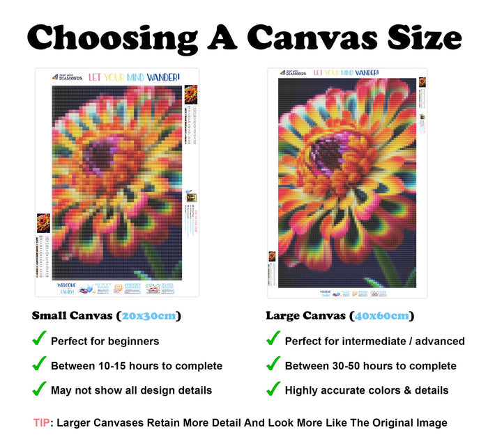Bright Zinnia
