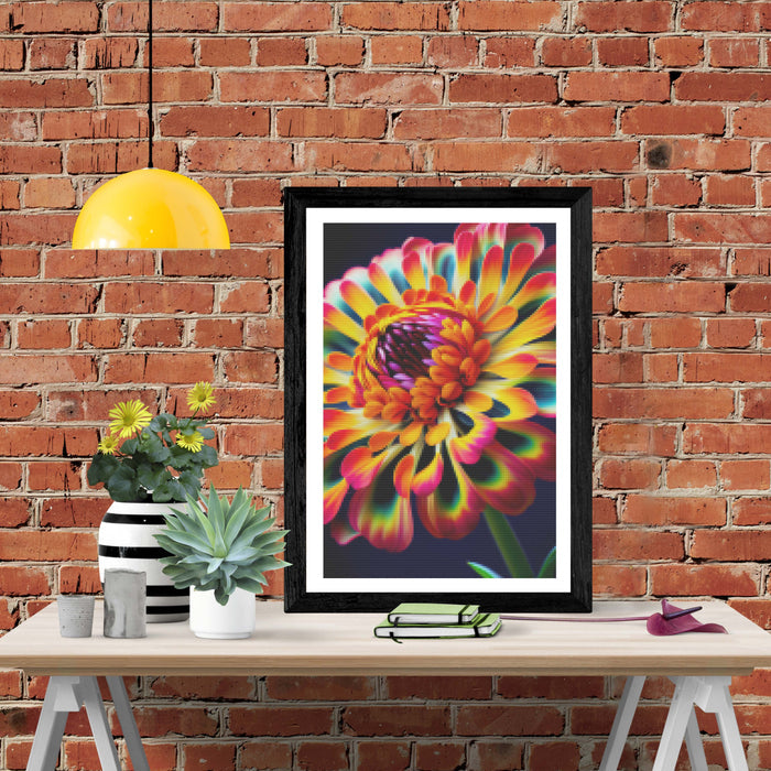 Bright Zinnia