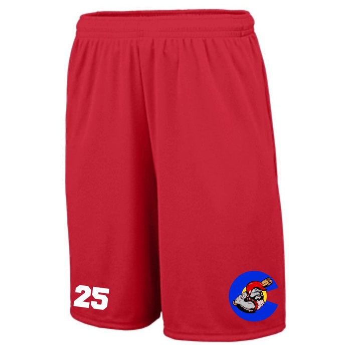 Bulldawgs Wicking Training Shorts- 2 designs