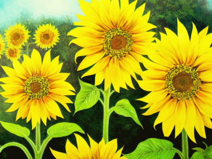Bumblebee Sunflowers