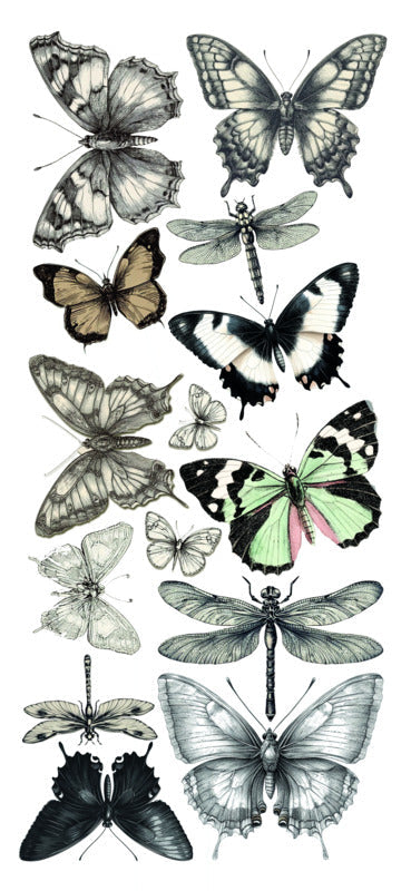 Ciao Bella - Art Stickers Uncut Transparent Adhesive Sheets - Typographic. 5 sheets. Available at Embellish Away located in Bowmanville Ontario Canada.
