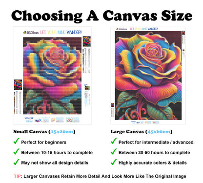 Colorful Blooming Rose
