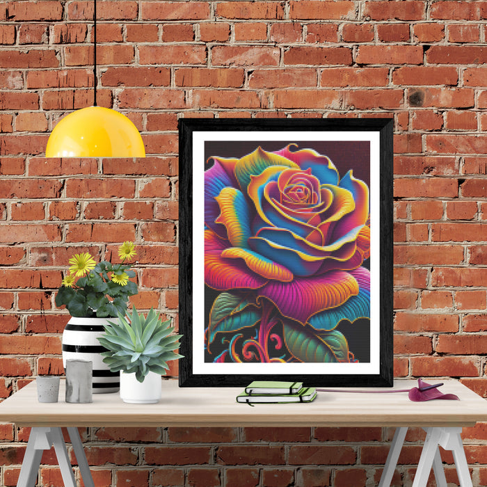 Colorful Blooming Rose